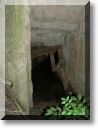 2012-06-10-BALADE-FORET FACQ-010.jpg